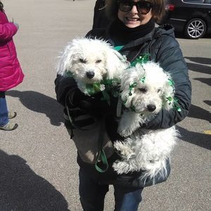 Meet your Posher, Joann